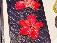 雪花郡肝-红鼎坊·老成都火锅(新南门店)