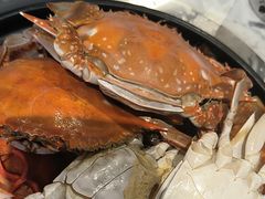 -半岛听涛蒸汽海鲜自助(K11店)