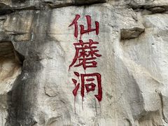 -仙蘑洞