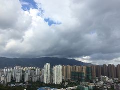 -金鸡山公园