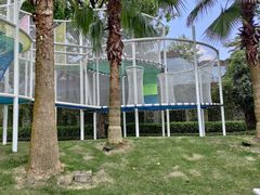 -森波拉奇妙世界