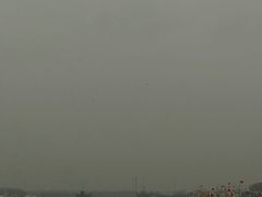 -盐城丹顶鹤湿地生态旅游区