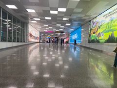 -郑州新郑国际机场-T2航站楼