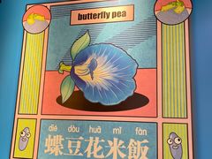 -Asianplus海蓝鸡饭
