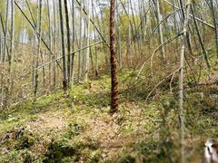 -千泷沟大瀑布旅游区