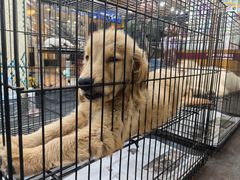 -尚泰清迈机场购物中心