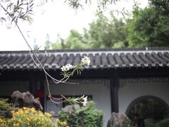 -何园