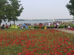 -武清南湖绿博园