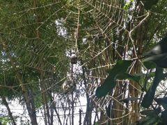 -疯狂屋