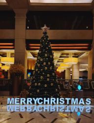 -无锡君来洲际酒店·宴会厅