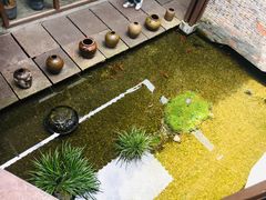 -几荷·恰似故人来(秀水广场店)