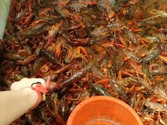 -徐州地锅鸡(浦口大道店)