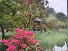 -云溪植物园