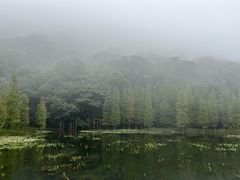 -广州市石门国家森林公园