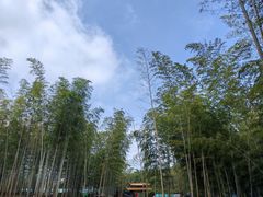 -陶祖圣境风景区