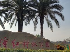 -宝安西湾红树林湿地公园