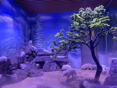 -上海海昌海洋公园