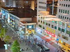 -喜悦烤鸭·新京菜(王府井店)