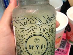 -野萃山·潮汕厚果汁(十亩地店)
