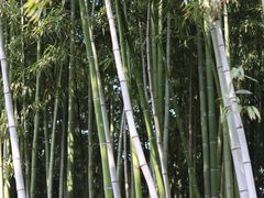 -荆川公园