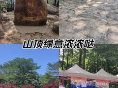 -广州市帽峰山景区