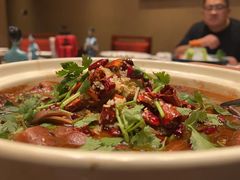 -中国坊中餐厅(石家庄希尔顿酒店)