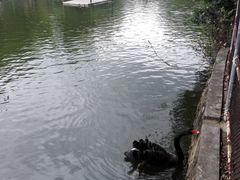 -广东茂名森林公园