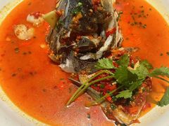 -坛宗剁椒鱼头(河西王府井店)