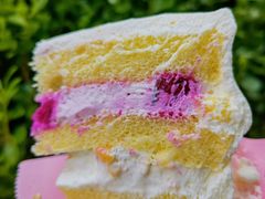 -今日·TODAY手作低脂动物奶油蛋糕定制(高新万达店)