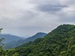 -大岭沟猕猴桃谷风景区
