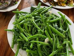 洋丝瓜苗-阿葉农家饭店