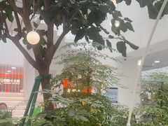 -大树餐厅(红旗街万达店)