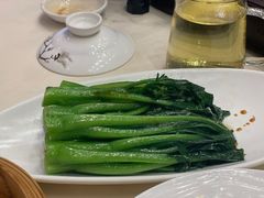 白灼菜心-娱筷海鲜酒家(广州南沙店)