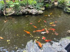 -广州白天鹅宾馆