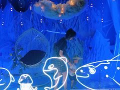 -烟台海昌鲸鲨海洋公园