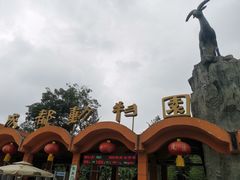 -成都动物园