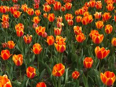 -长春公园(普阳街道)