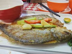 -蚝魁·海鲜大排档·啫啫·生蚝(体育西店)