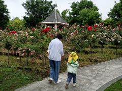 -上海鲜花港