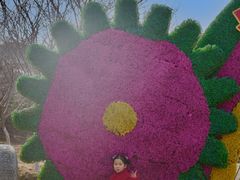 -武汉紫薇都市田园