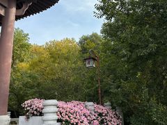 -黄鹤楼