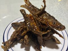 -呼吸森林·生态农庄农家乐私房菜