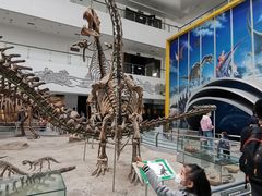 -中国地质大学逸夫博物馆