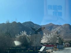 -鹫峰国家森林公园