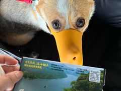 -严子陵钓台(富春江小三峡)