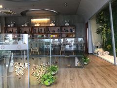 -了不起的考拉咖啡店(高新店)