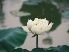 -廊坊文化艺术中心