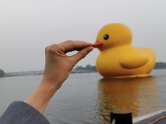 -深圳人才公园