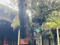 -郭洞古生态村