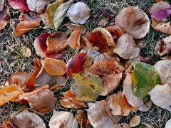 -长春公园(普阳街道)